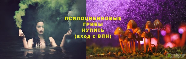 эйфоретик Баксан