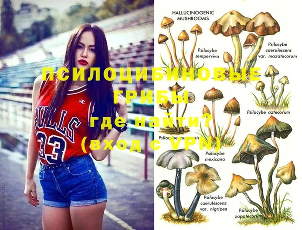 эйфоретик Баксан