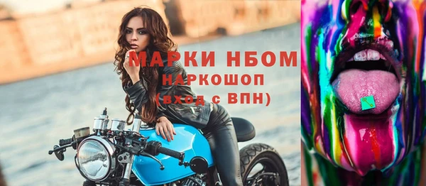 эйфоретик Баксан